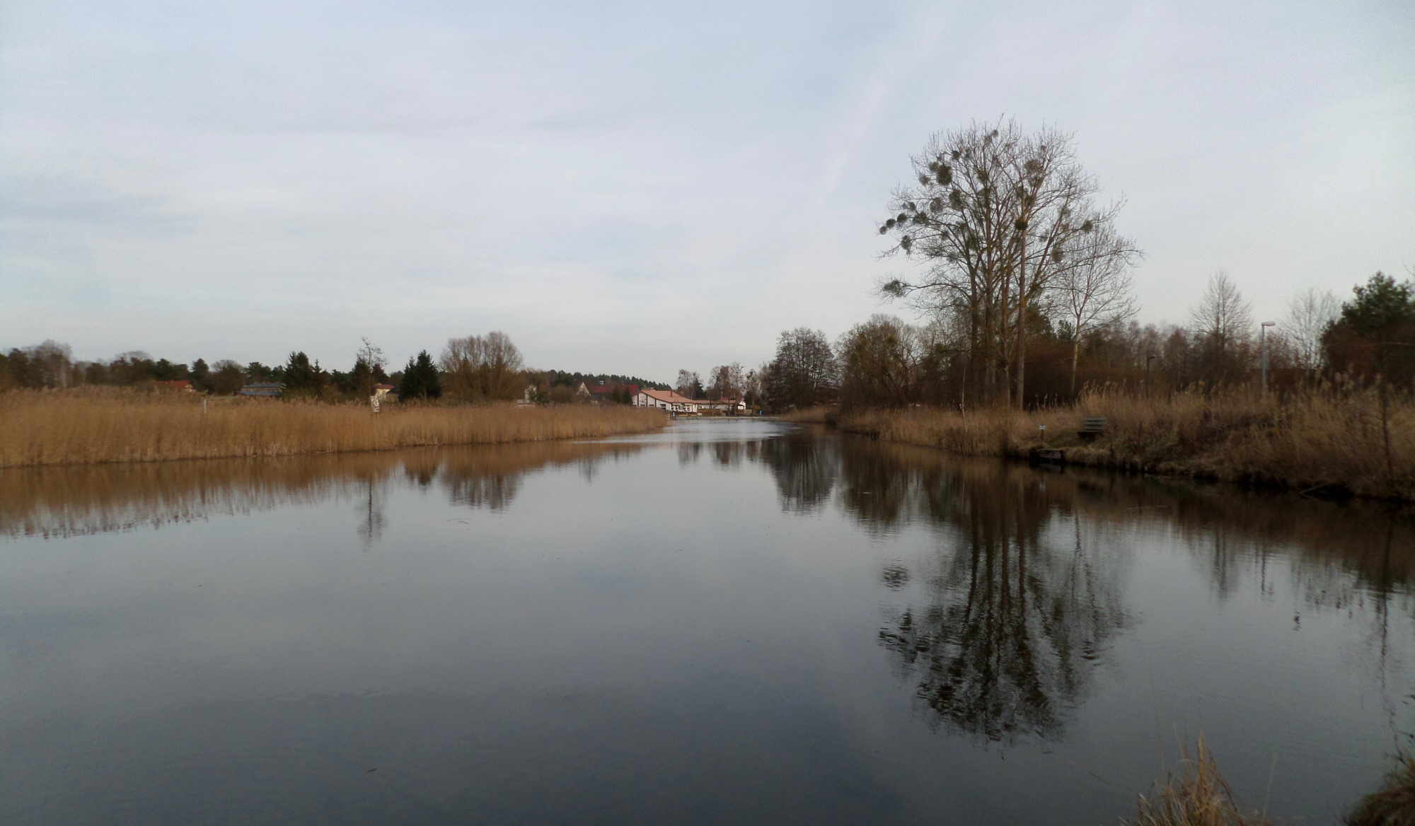 Havel, Blick von der Marienthaler Schleuse nach Burgwall.